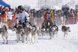 Lenk 2013